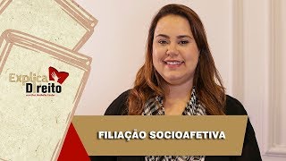 Explica Direito Filiação Socioafetiva  2019 [upl. by Lattonia]