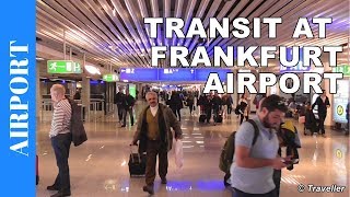 TRANSIT WALK AT FRANKFURT Airport FRA Terminal 1  Connection Flight Transfer Arriving amp Departing [upl. by Wattenberg955]